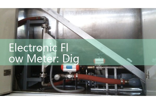 Electronic Flow Meter: Digital Liquid Control and Totalizing